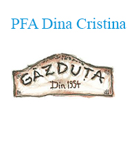 PFA DINA CRISTINA