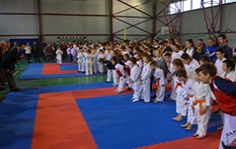 Cupa POLIPOL la karate